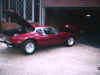 Pantera at Drews house.jpg (77452 bytes)