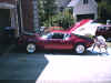 Pantera at home.jpg (73700 bytes)