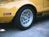 chucks pantera 3.jpg (79424 bytes)